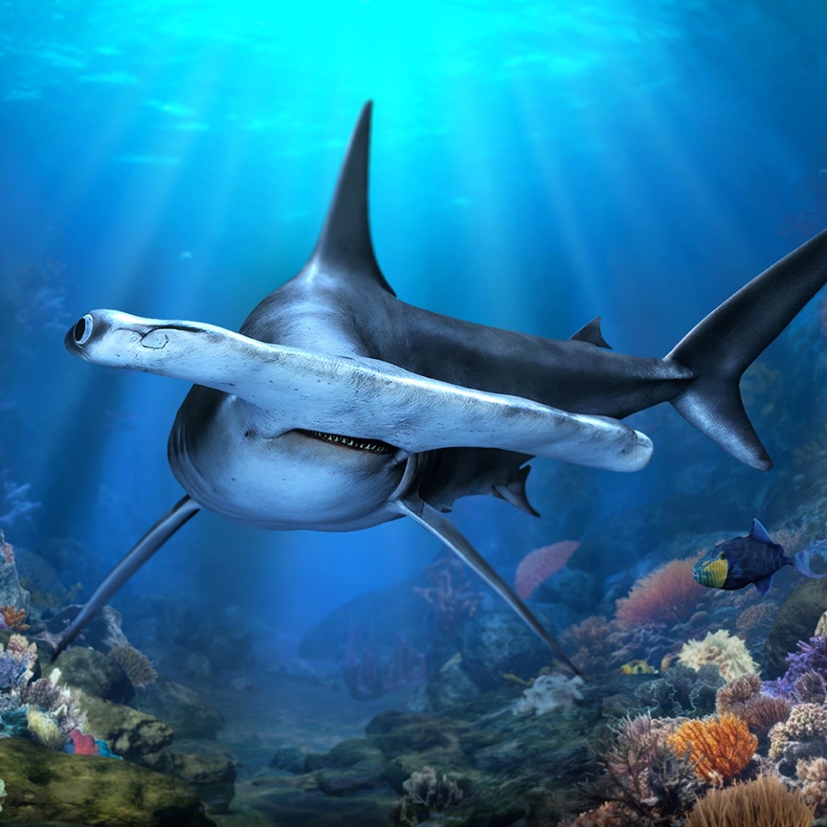 Singapore Oceanarium.jpg
